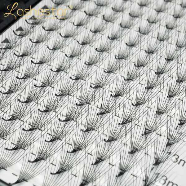 premade lash fans bulk(10D） - Image 3