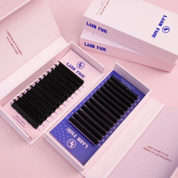 Best Easy Fan Lash Extensions (0.07mm) - Image 3