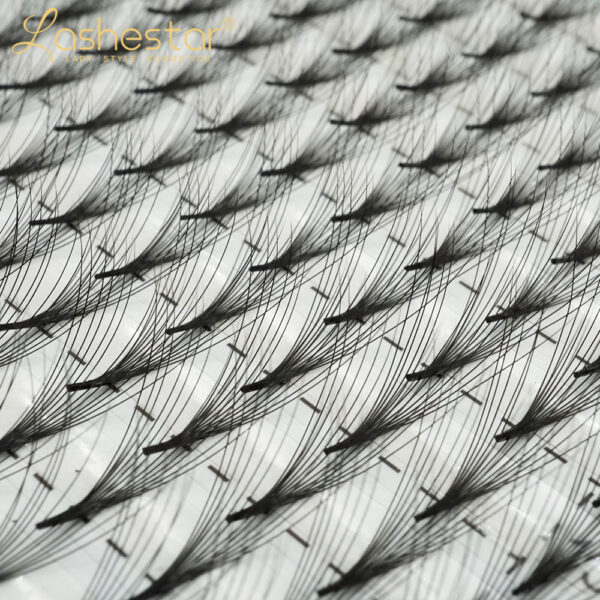 premade lash fans wholesale(12D ) - Image 3
