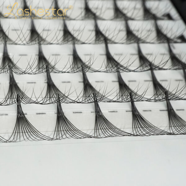 premade lash fans wholesale(12D ) - Image 4