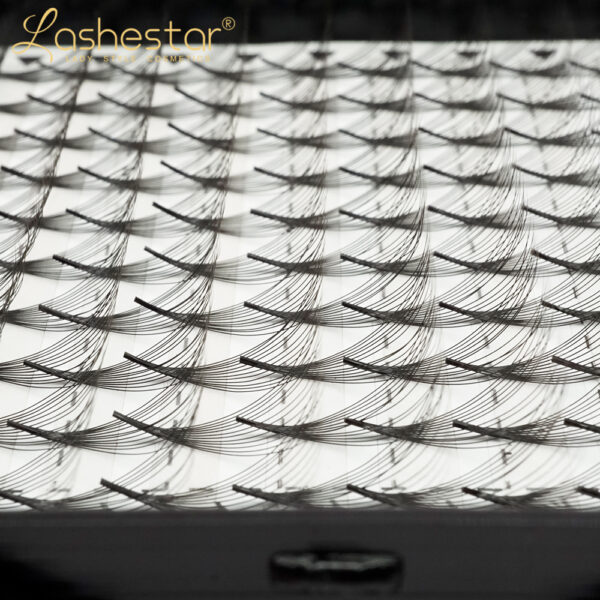 premade lash fans wholesale(12D ) - Image 5