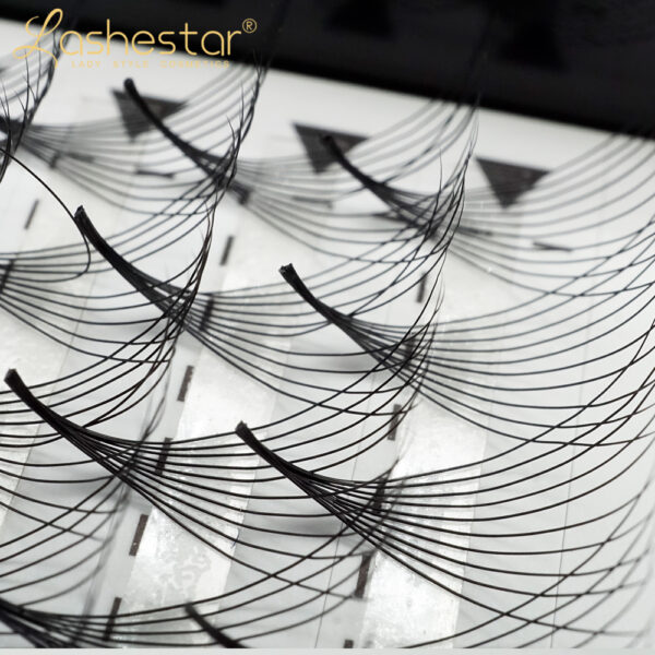 premade lash fans bulk(10D） - Image 5