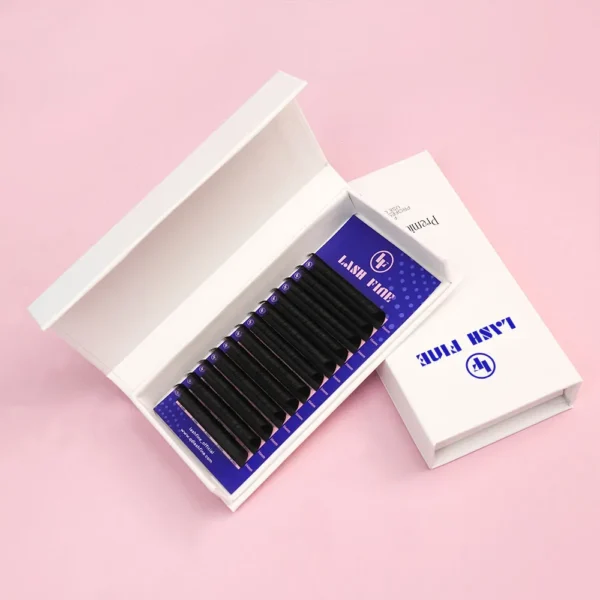 Best Easy Fan Lash Extensions (0.07mm) - Image 5