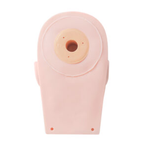 Eyelash Training Head Model