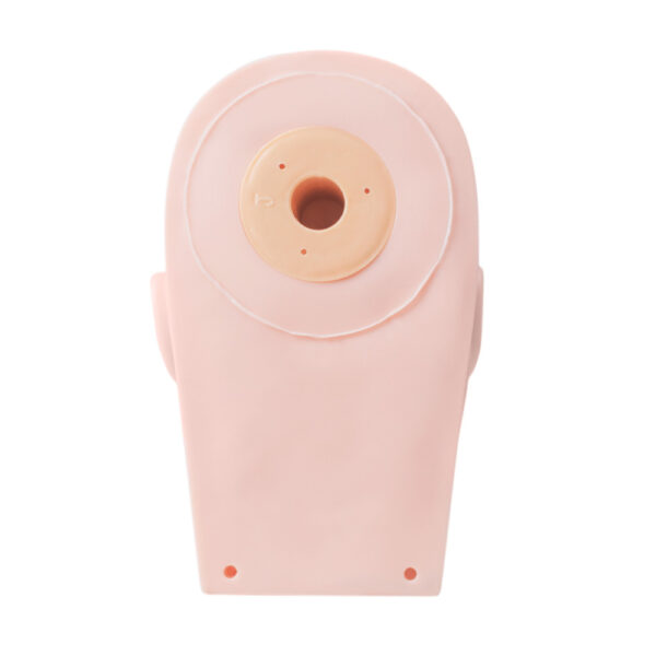 Eyelash Training Head Model