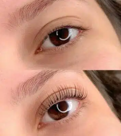 Lash Lift Last