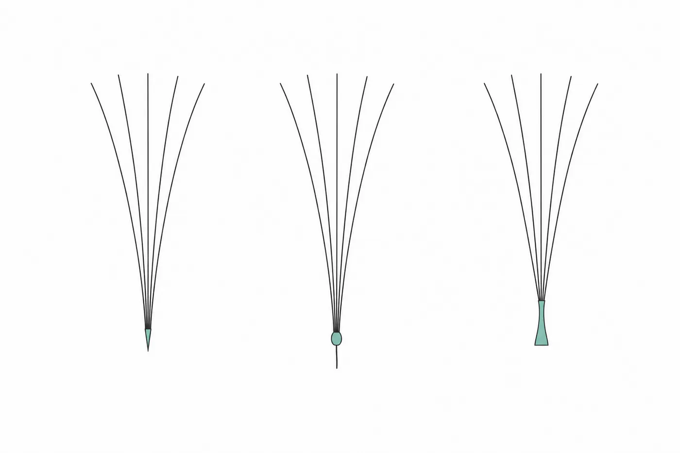Diagram comparing three lash cluster base types: tapered point, loose root and tower tip