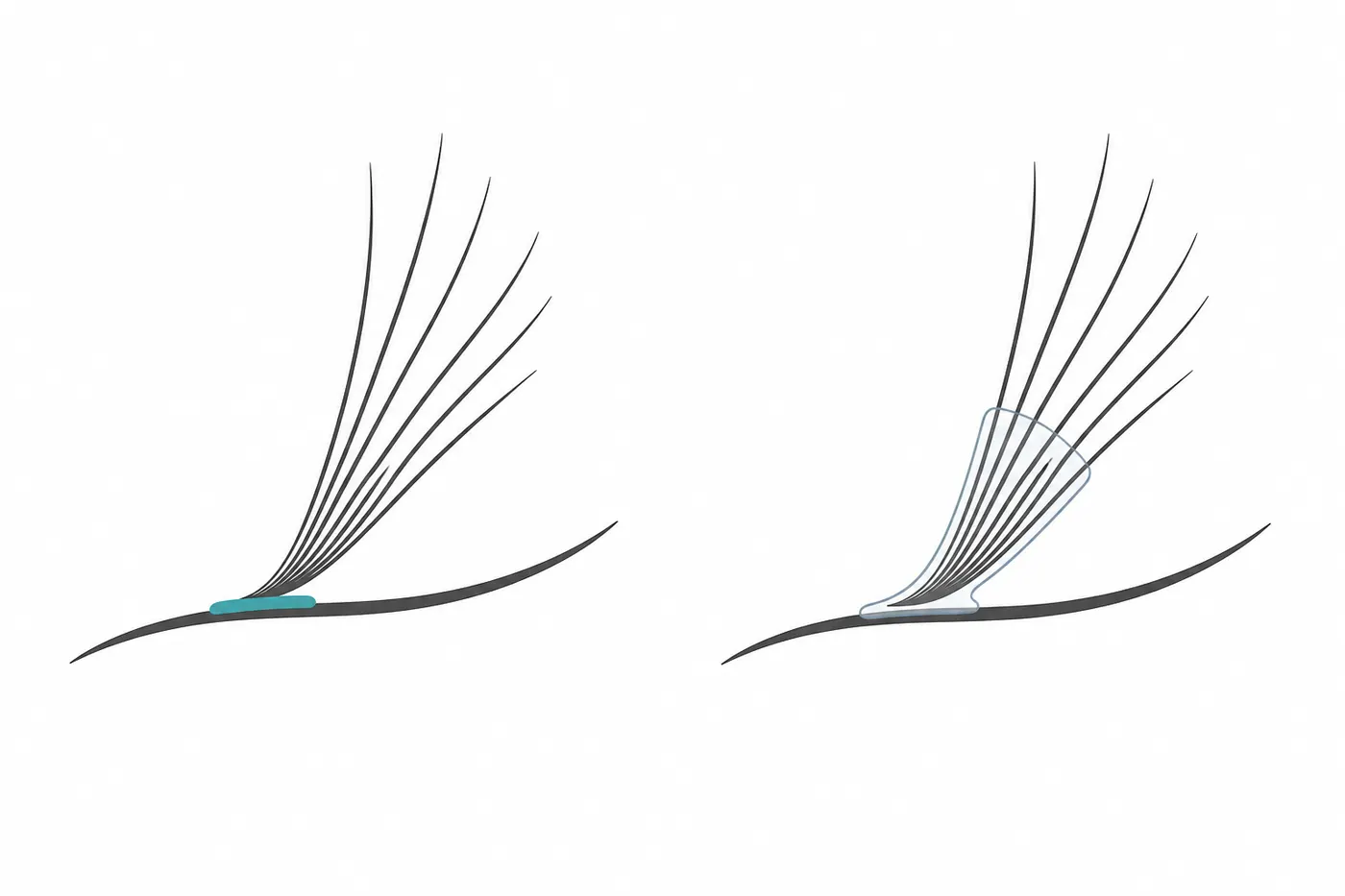 Diagram of a two-step lash routine: bonding agent applied, then the cluster base sealed