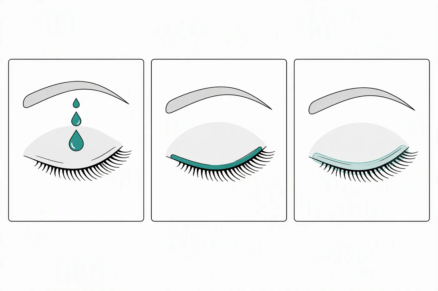 Diagram of a three step lash routine: cleansing droplets, a conditioning stroke along the lashes and a protective leave-on layer