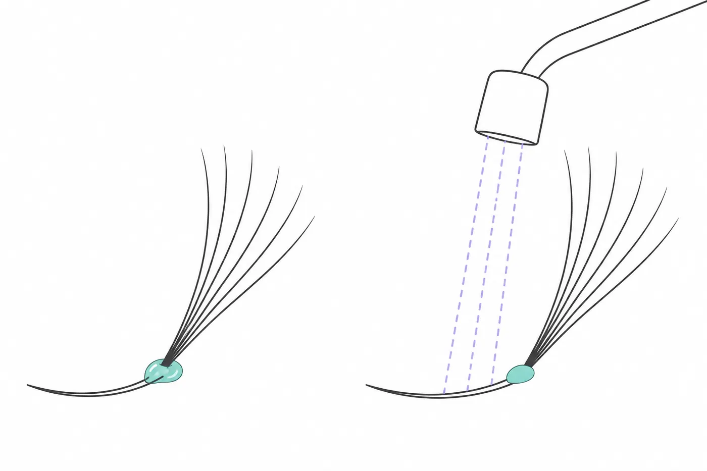 Diagram of the two steps of a light-cured placement: lash fan on wet adhesive, then curing under the lamp